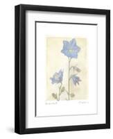 Campanula II-Amy Melious-Framed Art Print