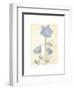 Campanula II-Amy Melious-Framed Art Print