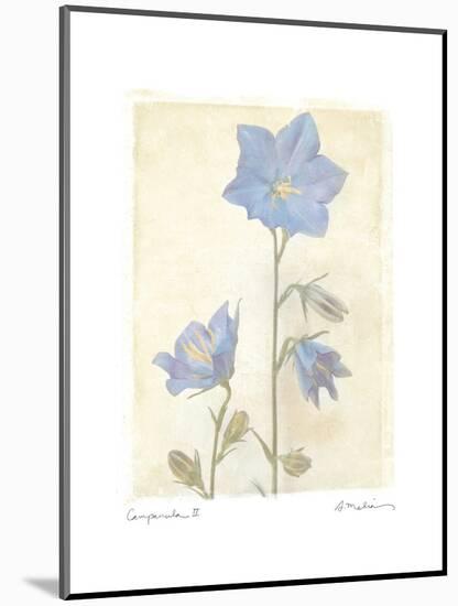 Campanula II-Amy Melious-Mounted Art Print