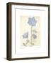 Campanula II-Amy Melious-Framed Art Print