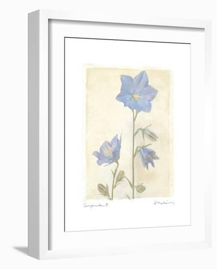 Campanula II-Amy Melious-Framed Art Print