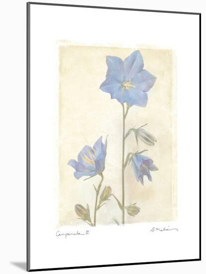 Campanula II-Amy Melious-Mounted Art Print