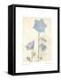 Campanula II-Amy Melious-Framed Stretched Canvas
