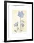 Campanula II-Amy Melious-Framed Art Print