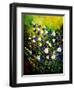 Campanulas 56-Pol Ledent-Framed Art Print