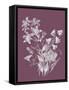Campanulas Purple Flower-Jasmine Woods-Framed Stretched Canvas