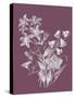 Campanulas Purple Flower-Jasmine Woods-Stretched Canvas