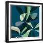 Black Frame