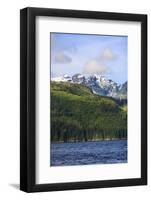 Campbell River, Vancouver Island, Northern British Columbia, Inside Passage, Canada-Stuart Westmorland-Framed Photographic Print