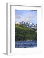 Campbell River, Vancouver Island, Northern British Columbia, Inside Passage, Canada-Stuart Westmorland-Framed Photographic Print