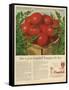 Campbell's, Magazine Advertisement, USA, 1950-null-Framed Stretched Canvas