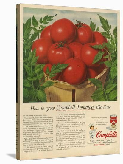 Campbell's, Magazine Advertisement, USA, 1950-null-Stretched Canvas