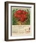 Campbell's, Magazine Advertisement, USA, 1950-null-Framed Giclee Print