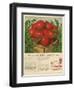 Campbell's, Magazine Advertisement, USA, 1950-null-Framed Giclee Print