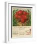 Campbell's, Magazine Advertisement, USA, 1950-null-Framed Giclee Print