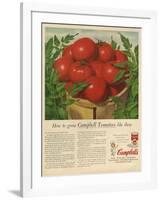 Campbell's, Magazine Advertisement, USA, 1950-null-Framed Giclee Print