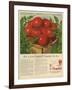 Campbell's, Magazine Advertisement, USA, 1950-null-Framed Giclee Print