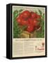 Campbell's, Magazine Advertisement, USA, 1950-null-Framed Stretched Canvas