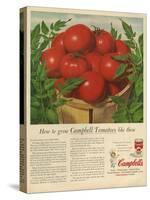 Campbell's, Magazine Advertisement, USA, 1950-null-Stretched Canvas