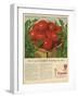 Campbell's, Magazine Advertisement, USA, 1950-null-Framed Giclee Print