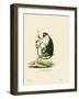 Campbell's Mona Monkey-null-Framed Giclee Print