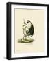 Campbell's Mona Monkey-null-Framed Giclee Print