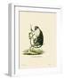 Campbell's Mona Monkey-null-Framed Giclee Print