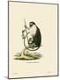 Campbell's Mona Monkey-null-Mounted Giclee Print