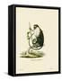 Campbell's Mona Monkey-null-Framed Stretched Canvas