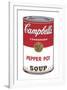 Campbell's Soup I: Pepper Pot, 1968-Andy Warhol-Framed Art Print