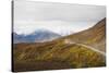 Camper buses driving into the heart of Denali National Park, Alaska, United States of America, Nort-JIA JIAHE-Stretched Canvas