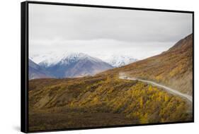 Camper buses driving into the heart of Denali National Park, Alaska, United States of America, Nort-JIA JIAHE-Framed Stretched Canvas