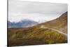 Camper buses driving into the heart of Denali National Park, Alaska, United States of America, Nort-JIA JIAHE-Stretched Canvas