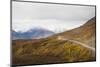 Camper buses driving into the heart of Denali National Park, Alaska, United States of America, Nort-JIA JIAHE-Mounted Photographic Print