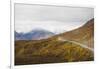 Camper buses driving into the heart of Denali National Park, Alaska, United States of America, Nort-JIA JIAHE-Framed Photographic Print