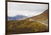 Camper buses driving into the heart of Denali National Park, Alaska, United States of America, Nort-JIA JIAHE-Framed Photographic Print