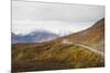 Camper buses driving into the heart of Denali National Park, Alaska, United States of America, Nort-JIA JIAHE-Mounted Photographic Print