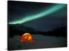 Camper's Tent Under Curtains of Green Northern Lights, Brooks Range, Alaska, USA-Hugh Rose-Stretched Canvas