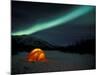 Camper's Tent Under Curtains of Green Northern Lights, Brooks Range, Alaska, USA-Hugh Rose-Mounted Photographic Print