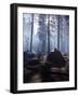 Campers Making Early Morning Breakfast at Their Site in Yosemite National Park-Ralph Crane-Framed Photographic Print