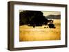 Campers-MJO Photo-Framed Photographic Print