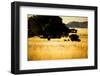 Campers-MJO Photo-Framed Photographic Print