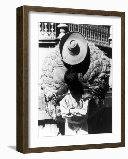 Campesino, State of Veracruz, Mexico, 1927-Tina Modotti-Framed Photographic Print