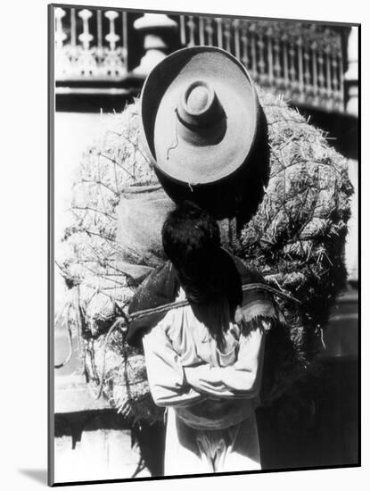 Campesino, State of Veracruz, Mexico, 1927-Tina Modotti-Mounted Photographic Print