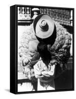 Campesino, State of Veracruz, Mexico, 1927-Tina Modotti-Framed Stretched Canvas