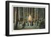 Campfire Entertainment, Yellowstone Park, Montana-null-Framed Art Print