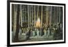 Campfire Entertainment, Yellowstone Park, Montana-null-Framed Art Print