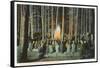 Campfire Entertainment, Yellowstone Park, Montana-null-Framed Stretched Canvas