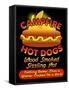 Campfire Hot Dogs-Mark Frost-Framed Stretched Canvas