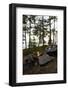 Campfire, shore, Lelång, Dalsland, Sweden-Andrea Lang-Framed Photographic Print